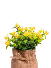 VON CASA Yellow Artificial Potted Plant - Knitted - MARKET 99