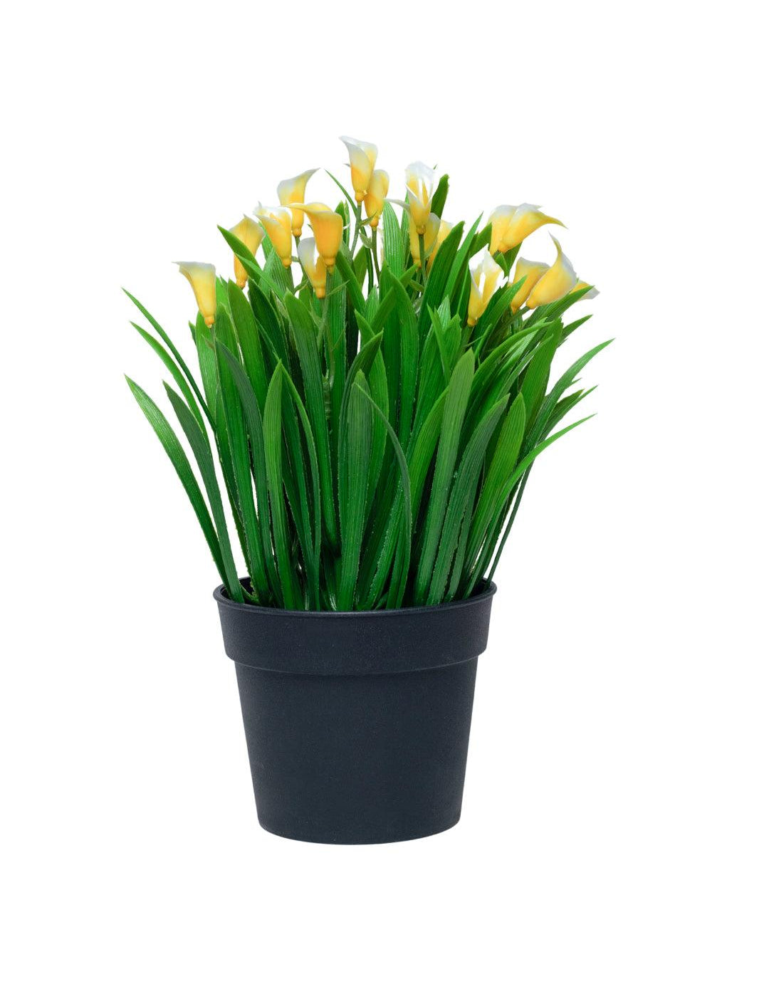 White Artificial Flower With Pot - MARKET 99