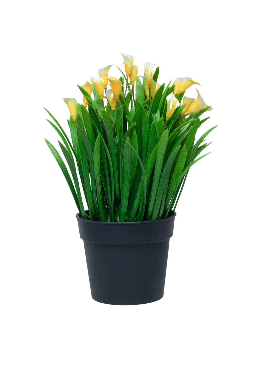 White Artificial Flower With Pot - MARKET 99