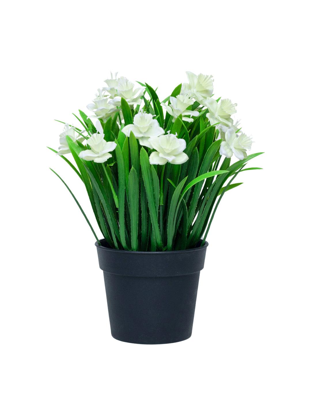 White Artificial Flower With Pot - MARKET 99