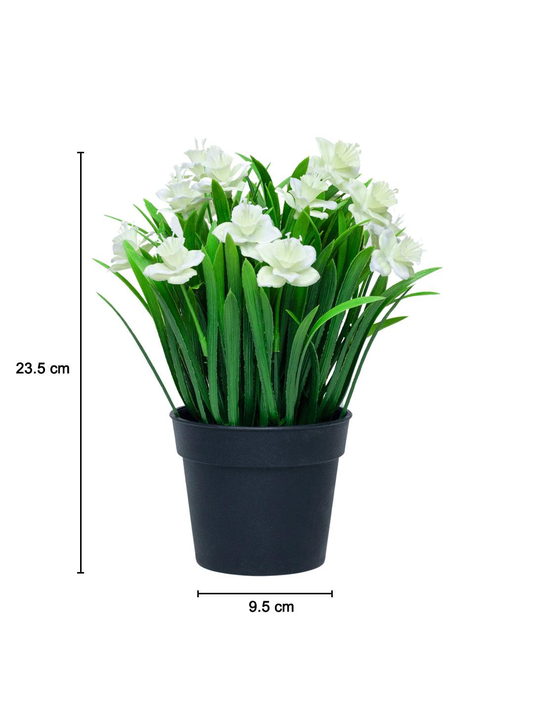 White Artificial Flower With Pot - MARKET 99