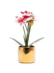 White Orchid With Golden Pot - MARKET 99