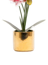 White Orchid With Golden Pot - MARKET 99
