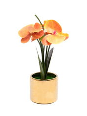 Yellow Orchid With Golden Pot - MARKET 99