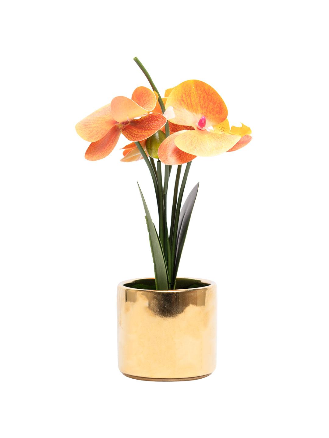 Yellow Orchid With Golden Pot - MARKET 99