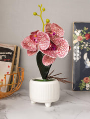Stylish Pink Artificial Flowers With Pot - 11 X 11 X 21Cm - 1