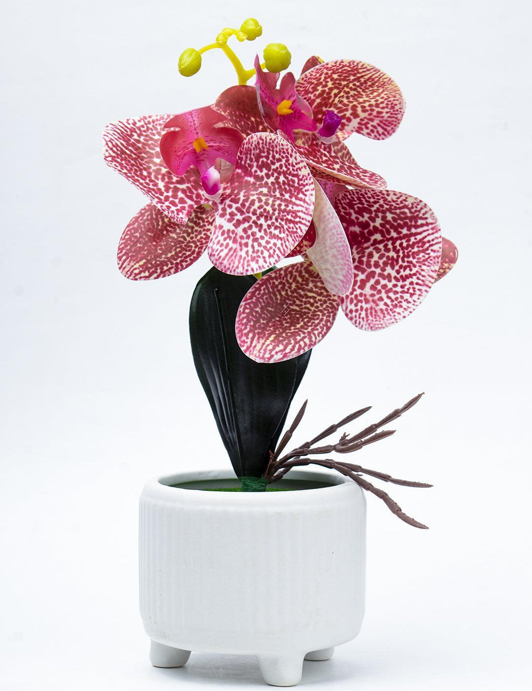 Stylish Pink Artificial Flowers With Pot - 11 X 11 X 21Cm - 2