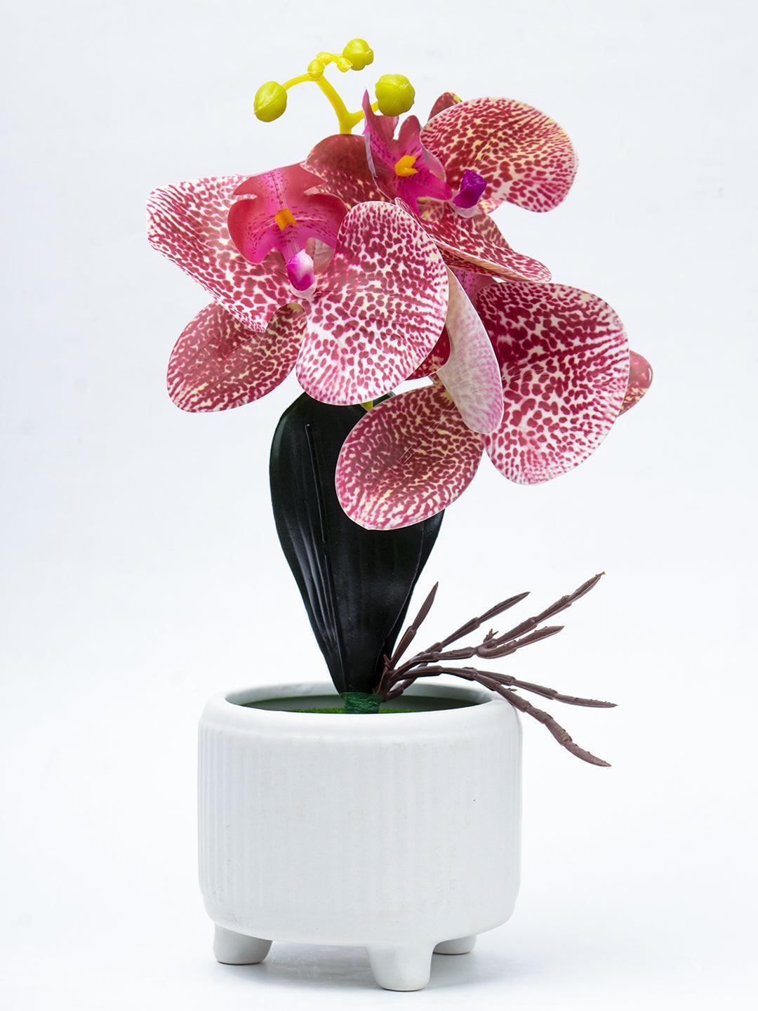 Stylish Pink Artificial Flowers With Pot - 11 X 11 X 21Cm - 2