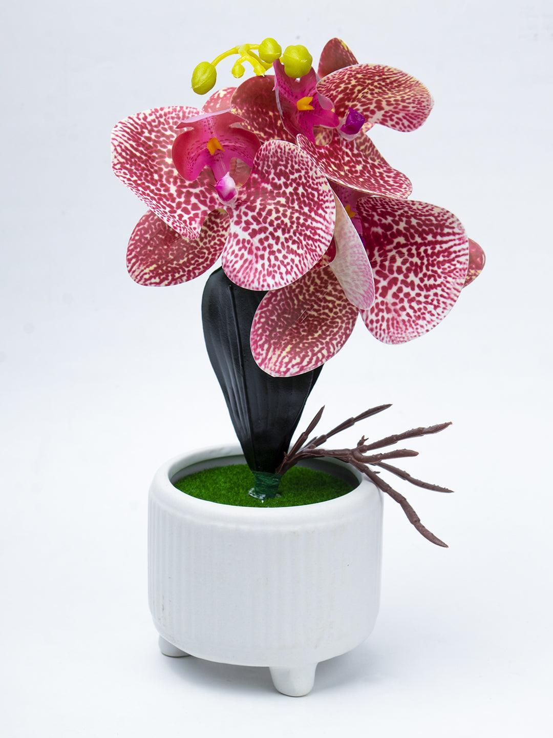 Stylish Pink Artificial Flowers With Pot - 11 X 11 X 21Cm - 3
