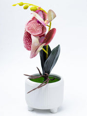 Stylish Pink Artificial Flowers With Pot - 11 X 11 X 21Cm - 4