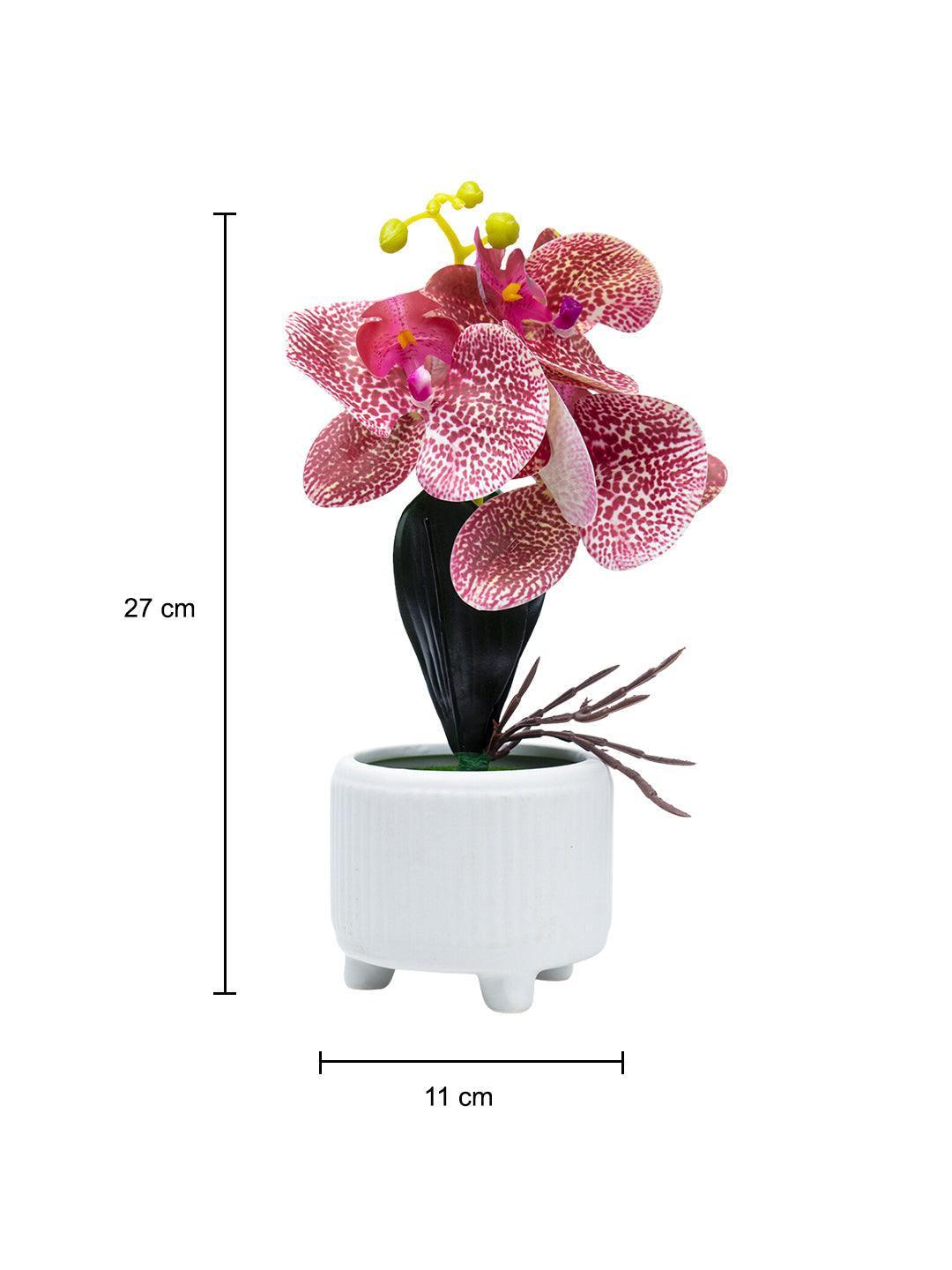 Stylish Pink Artificial Flowers With Pot - 11 X 11 X 21Cm - 5