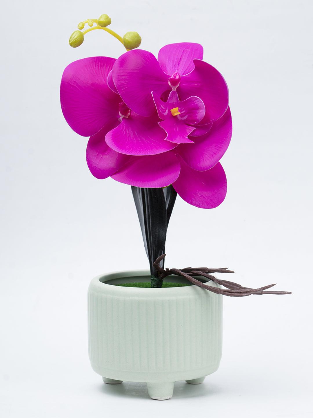 Stylish Purple Artificial Flower With Pot - 10 X 10 X 34Cm - 2
