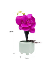 Stylish Purple Artificial Flower With Pot - 10 X 10 X 34Cm - 5