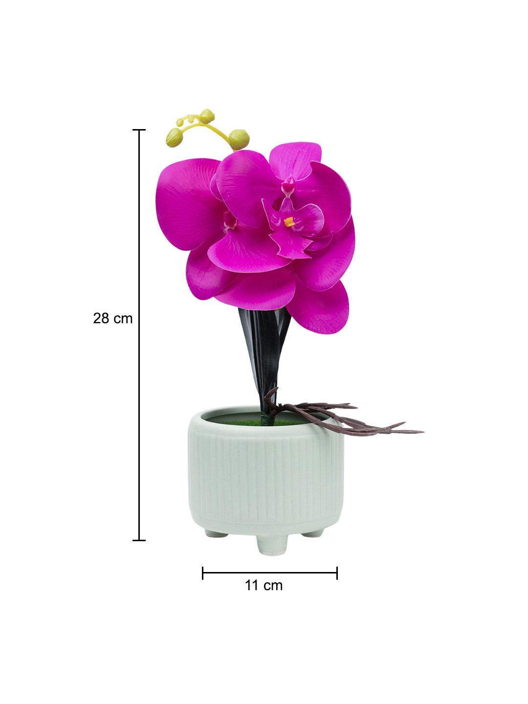 Stylish Purple Artificial Flower With Pot - 10 X 10 X 34Cm - 5