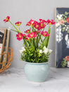Stylish Red & Green Artificial Flower With Pot - 11 X 11 X 21Cm - 1
