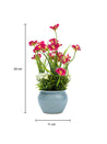 Stylish Red & Green Artificial Flower With Pot - 11 X 11 X 21Cm - 5