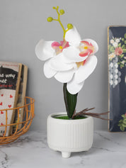 Stylish White Artificial Flowers With Pot - 10 X 10 X 34Cm - 1
