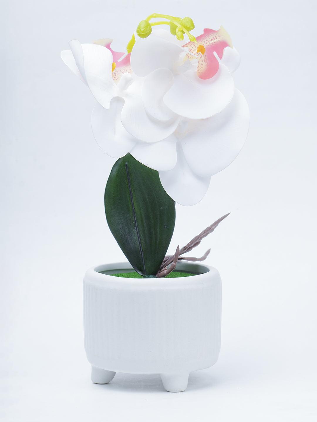 Stylish White Artificial Flowers With Pot - 10 X 10 X 34Cm - 2