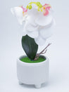 Stylish White Artificial Flowers With Pot - 10 X 10 X 34Cm - 3