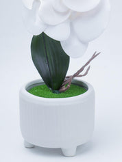 Stylish White Artificial Flowers With Pot - 10 X 10 X 34Cm - 4