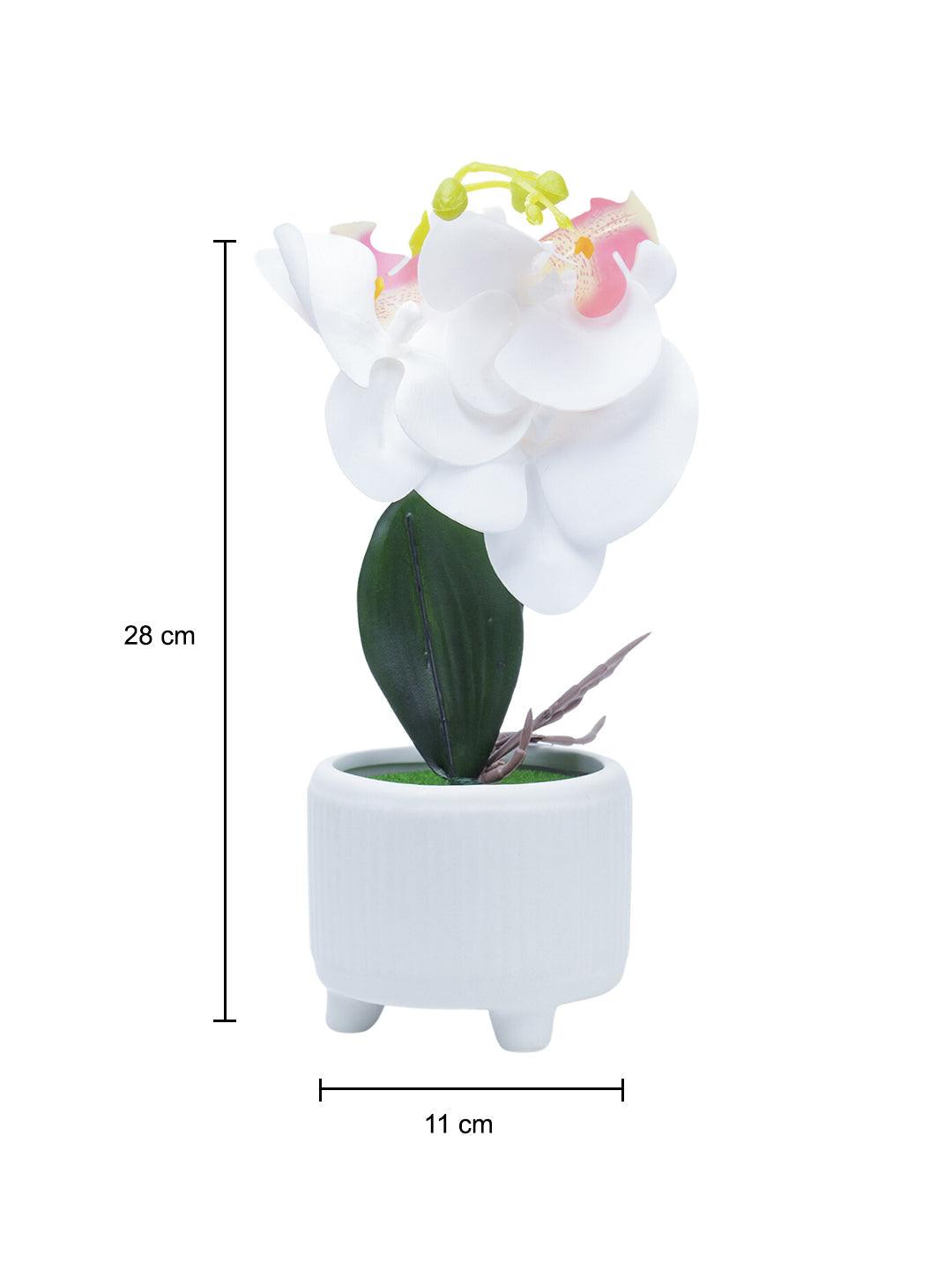 Stylish White Artificial Flowers With Pot - 10 X 10 X 34Cm - 5